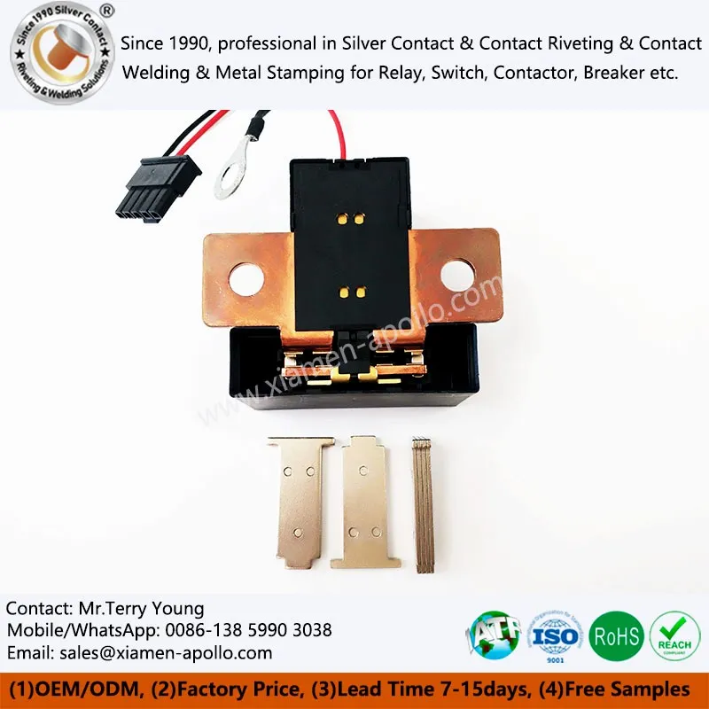Pure Iron Core for EV Relay